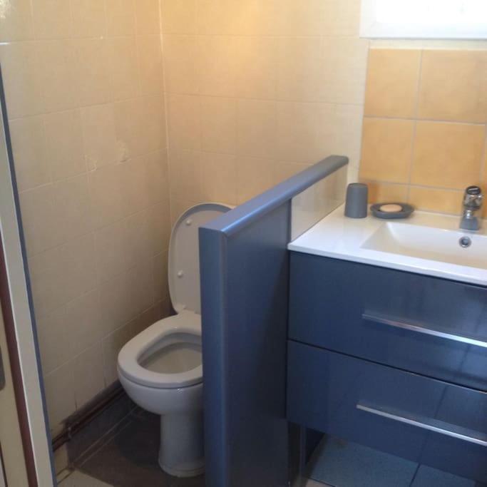 Charmante Maison A 500M De La Plage Remigeasse Dolus d'Oléron エクステリア 写真